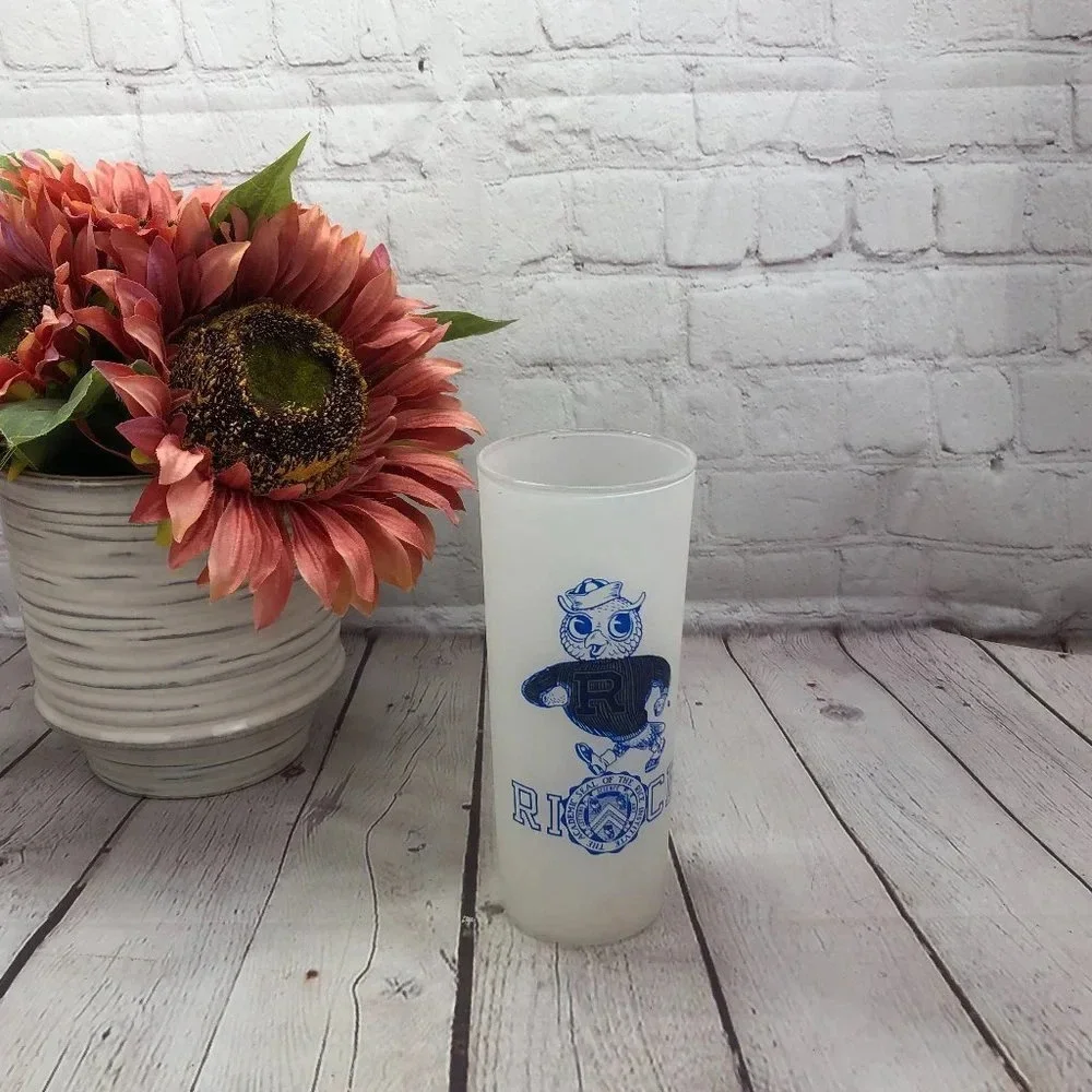 Vintage Rice owls frosted tumbler collegiate